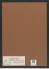 Amphitetras andersonii (Cleve) De-Toni (de-Toni-Nr.: Genus 137, Species 3632) Zeichnungen Sammlung Grunow Mappe 03775 (Herbarium_W_Grunow_drawings_Folder_03775)